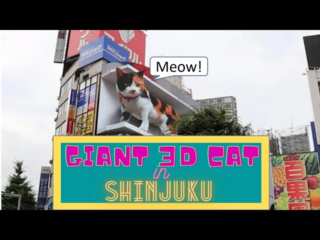 Japan 3d Cat Meows. Amazing 3d Cat Billboard in Shinjuku. So Cute 3d Cat