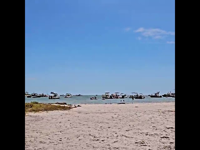 paddle board and nature(4)