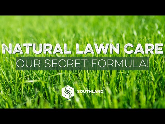 Ultimate Organic Lawn Care Product Plan