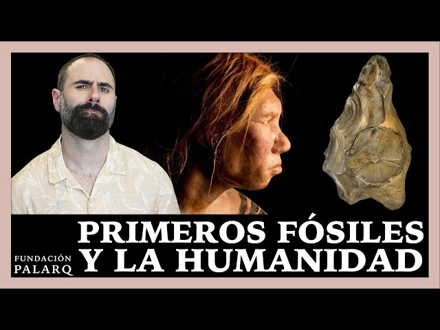 ¿Qué Pensaron los Neandertales al Encontrar los Primeros Fósiles?