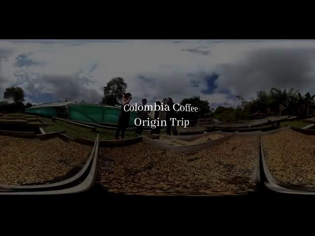 Coffee Origin Trip In Colombia (Virtual Reality Video / 360° Video)