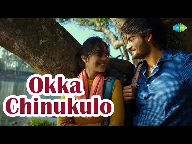 Okka Chinukulo - Video Song | Prematho Mee Karthik Movie Songs | Karthikeya