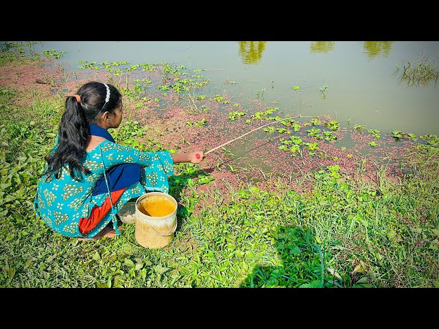 Awesome Girl Fishing With Hook | Traditional Hook Fishing in Beautiful Village Girl