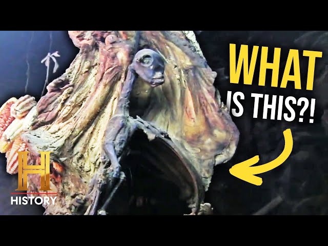 4 Animals That Are IMPOSSIBLE To Explain | The Proof Is Out There