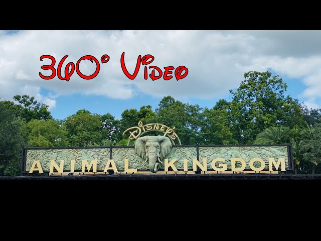 4K 360 Degree Disney's Animal Kingdom | Walt Disney World