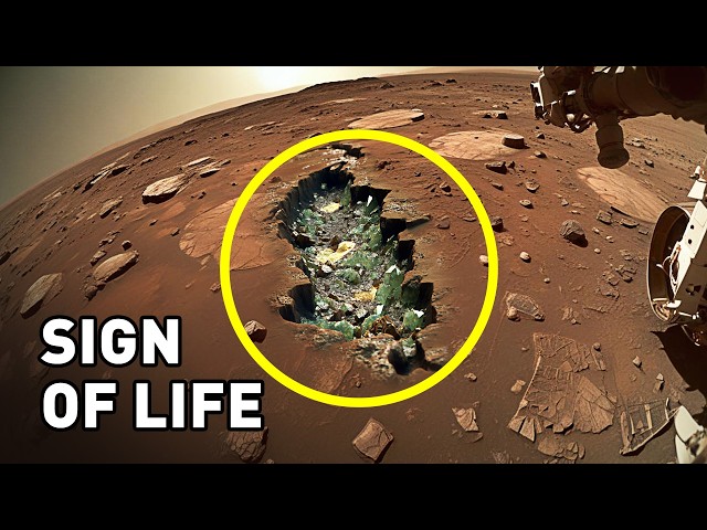 Signs Of Life Have Been Unexpectedly Found on Mars. The Big Movie About Mars