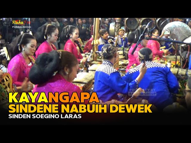 Sinden Soegino Laras Nabuh Gamelan || Wayang Kulit Ki Gandhik 2024