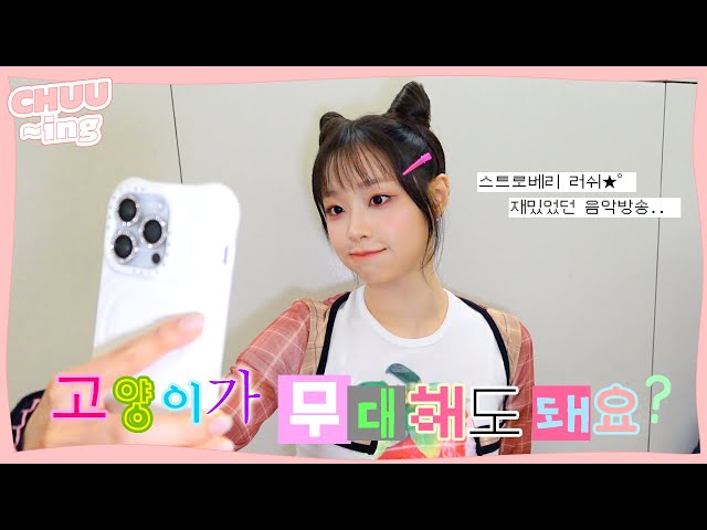 [CHUU-ing]Watch how a strawberry kitty performs on stage😽Meow-★ | 'Strawberry Rush' Broadcast Behind