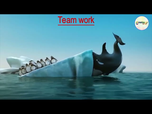 Teamwork and Leadership | Animated short clip | Playful Learning