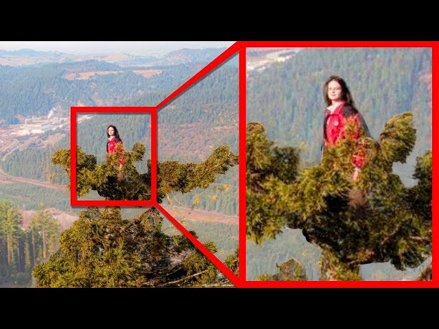 She Lived In A Tree For 738 Days - The Amazing Story of Julia Butterfly Hill