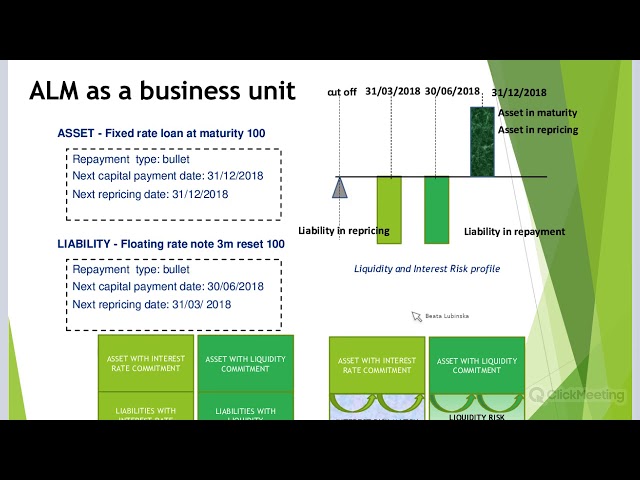 Interest Rate Risk in the Banking Book