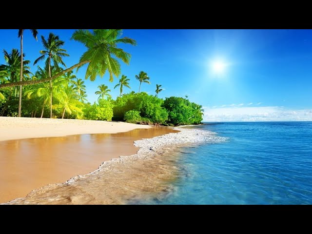 🌞 Lost Beach Soundscapes  •  Calming Music for Stress Relief 🌞