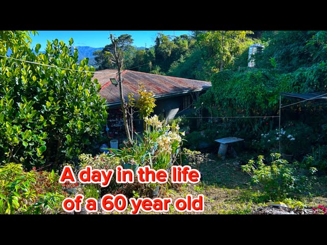 Life in the Province: Cooking dandelion/gardening/animal & flower care