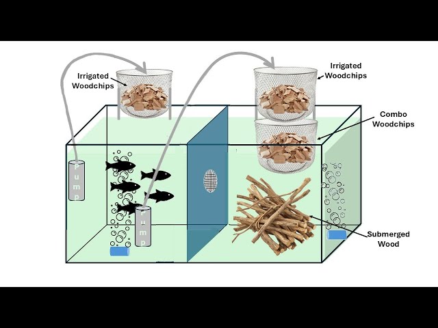 TimberFish Technologies for Citizen Scientists - Ecological Aquarists