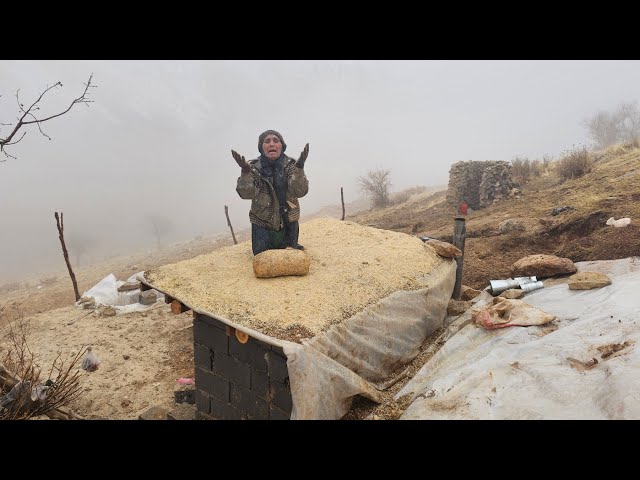 Grandma's Resistance:Victory Over a Rainstorm/Cooking in aCave