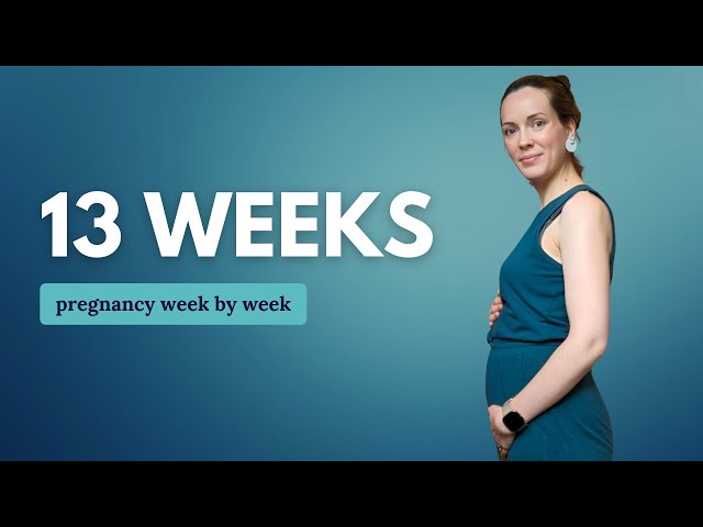 13 Weeks Pregnant 🤰 What to Expect: Changes for You & Baby Development