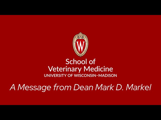 2022 Holiday Message from Dean Mark D. Markel