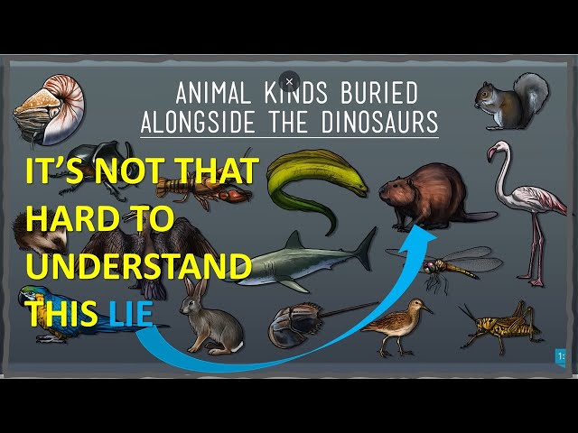 When a Tail Isn't Enough: Why Castorocauda is Not Evidence of Modern Mammals with Dinosaurs