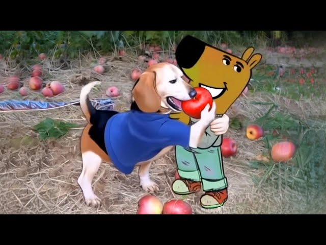 Dog with Apple in Mouth | Apple Dog AI Memes Compilation 5 / Dog With Apple | Apple Dog Core