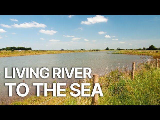 Living River: Through the delta to the sea | A Journey Through Nature’s Hidden Gems