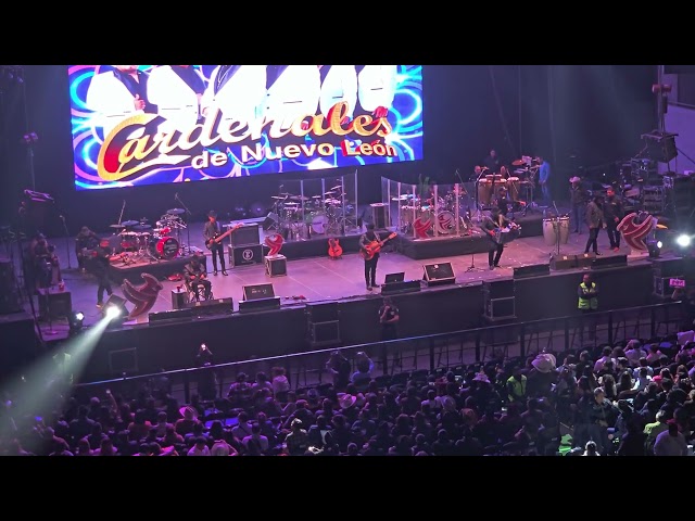 LOS CARDENALES DE NUEVO LEON / YA LO SE / EN VIVO / AUDITORIO GNP 2025