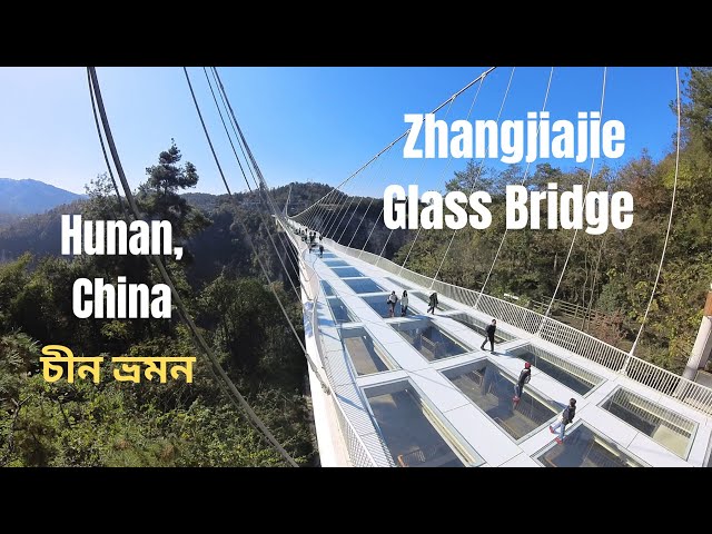 Zhangjiajie National Forest | Glass Bridge | Hunan | China | Part -1 |