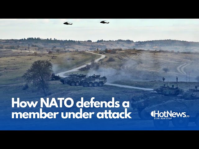 How NATO defends a member under attack - Dacian Fall 2024