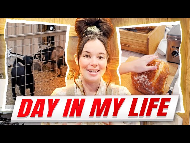 A Day In The Life Of A Homesteader