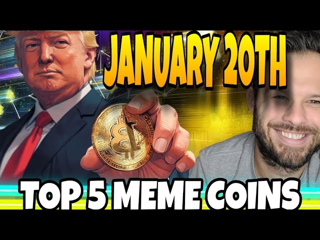 Best 5 Meme Coins to Buy Now Before January 20