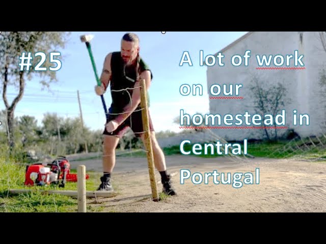 #25 Planting trees on our homestead in Central Portugal