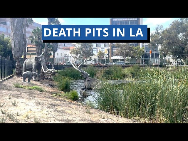 A Visit to La Brea Tar Pits