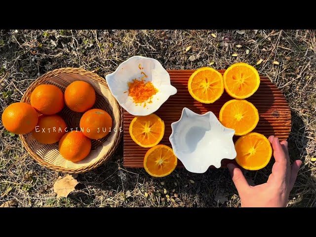 Orange Cake | No Oven | Oranges from our Farm | Outdoor Cooking | Northern Nomadic