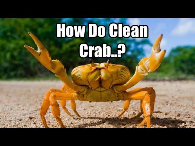 #CrabCleaning How Cleaning Easy Method of Crabs