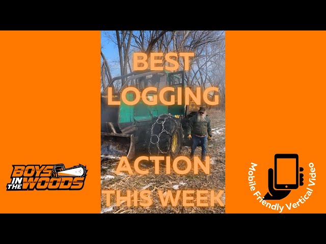 The BEST logging action of the week - #logger #timberjack #stihl  #logginglife  #reality