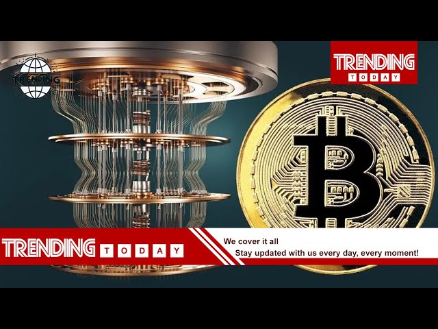 💰 Bitcoin’s Wild Week Ahead: Trump Crypto Bombshell Explained 🚀 | Trending Today