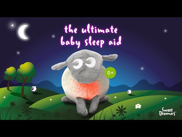 ewan the dream sheep