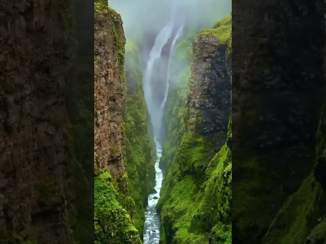 Soothing Waterfall Relaxation #shorts