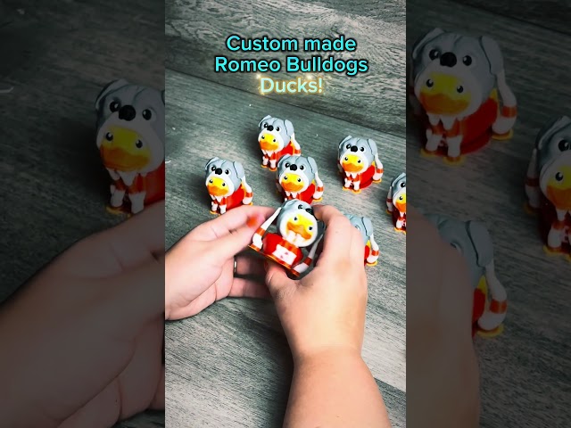 Attention Romeo, Mi! Check out our 3D printed Romeo Duck wearing a bulldogs costume. Buy yours now!