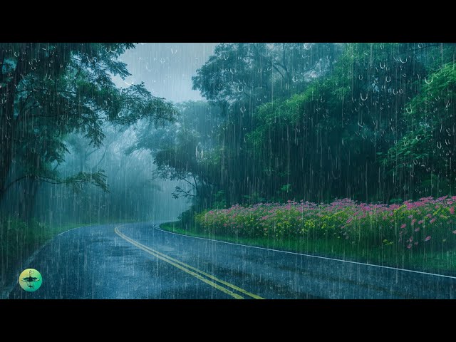 Night Thunderstorm Sleep Sounds - Heavy Rainstorm & Powerful Thunder Sounds for Sleeping, Relaxing