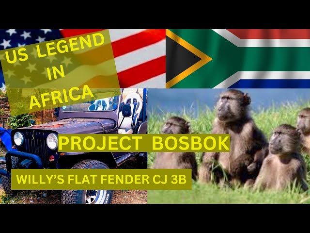 US LEGEND in Africa, PROJECT BosBok Willy's 1953, CJ 3B, Flat Fender Jeep