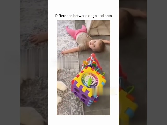 Shocking differences in how dogs and cats treat babies