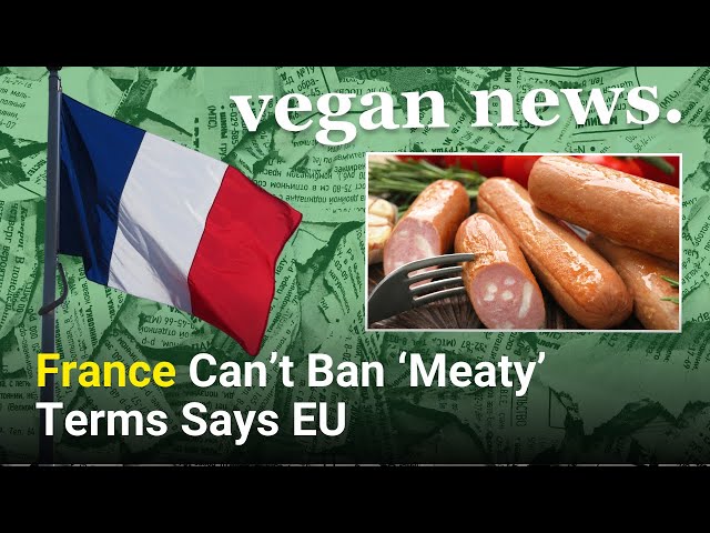 FRANCE CAN'T BAN 'SAUSAGE' | Viva! Podcast Minisode (Ep 39)