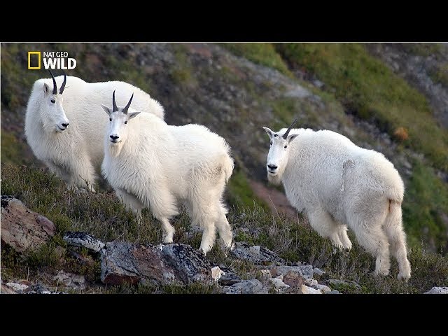 National Geographic - Arlberg Mountain - New Documentary HD 2018