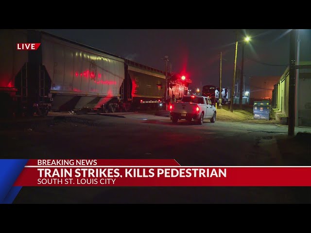 Person struck and killed by train in south St. Louis