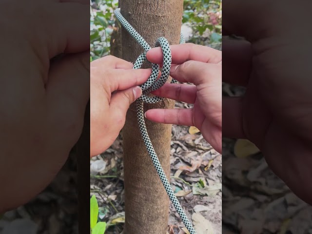 Incredible Slip Knot 🤯#camping #survival #bushcraft #outdoors