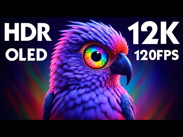 12K HDR Dolby Vision Beauty of OLED Demo