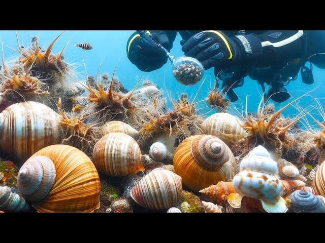 Ep15/ UNDERWATER FISHING! - Marine Life, Sea Animals and Coral Reef! - 수중 모험!! #adventure #다이빙기술