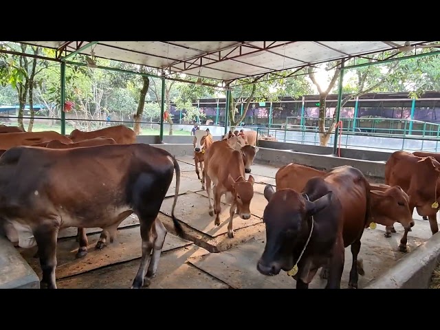 Playgroup feeding time..