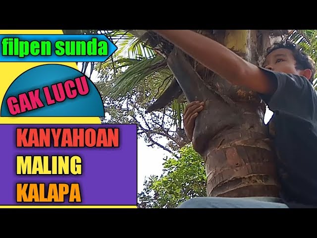 Film pendek sunda gak lucu kanyahoan maling dugan