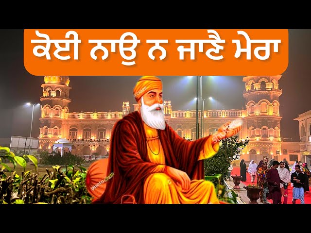 Koi Nau Na Jaane Mera | Shabad Kirtan Nankana Sahib Pakistan | Live Gurdwara Nankana Sahib Shabad